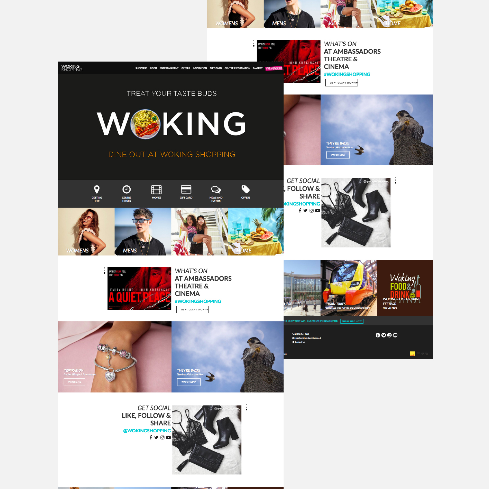 Woking Shopping Website